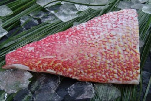 Red Snapperfilet